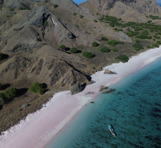 Pink Beach and Its Unique Natural Phenomenon