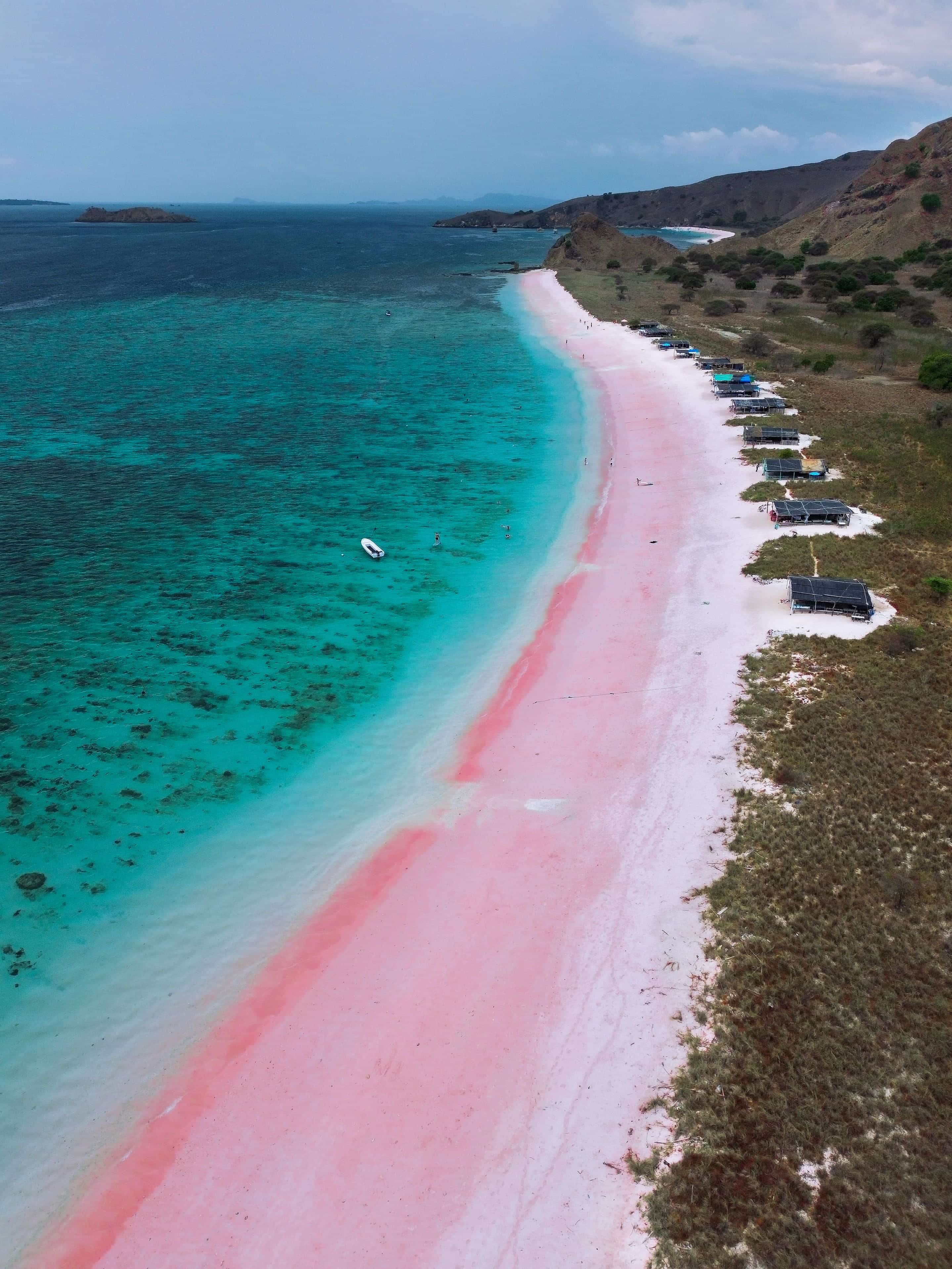 Pink Beach: The Colorful Symbol of Flores